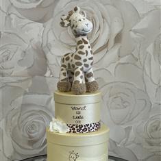 Giraffe nappy gift set