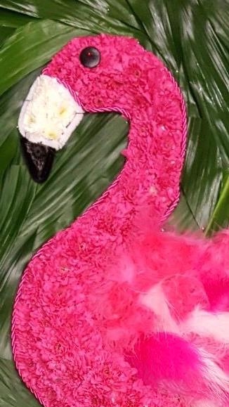 Flamingo Tribute