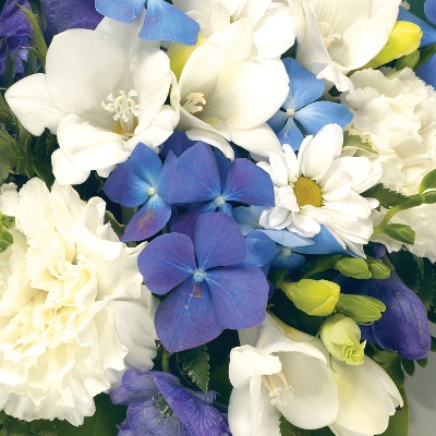 Posy  Pad Blue and White