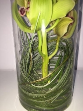 Green Orchid Vase