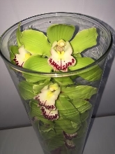 Green Orchid Vase